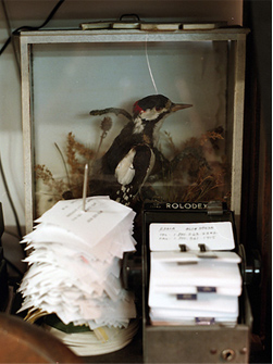 Studio interior